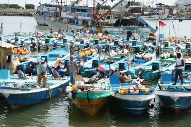Flota pesquera artesanal anclada en la rada de un puerto ecuatoriano.