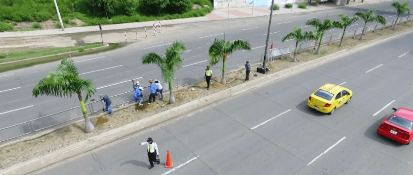 Avenida de la Cultura, Manta, donde se modifica el parterre para la circunvalación de buses urbanos que sirven al Nuevo Tarqui comercial. Manabí, Ecuador.