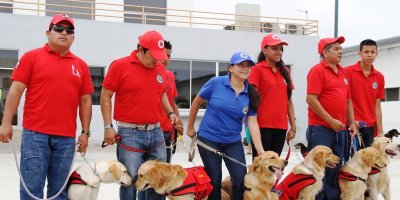 Perros mascota durante una sesión de adiestramiento en Manta. Manabí, Ecuador.