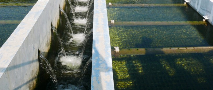 Potabilizando agua en la planta de EPAM en Colorado, Montecristi. Manabí, Ecuador.