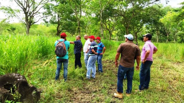 Finca de Jorge Flores de Valgas, en la Parroquia Boyacá del Cantón Chone. Manabí, Ecuador.