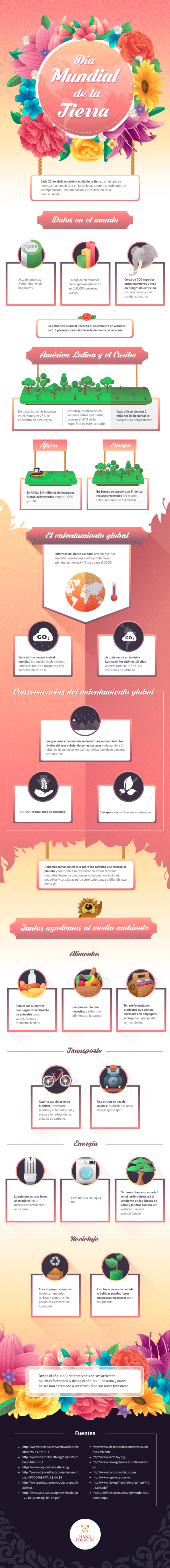 Hana Flowers, infografía D.M. Tierra