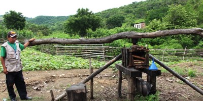 Molino de caña de azúcar en el sitio Pacoche de Manta. Manabí, Ecuador.
