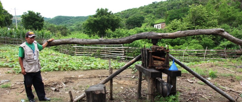 Molino de caña de azúcar en el sitio Pacoche de Manta. Manabí, Ecuador.