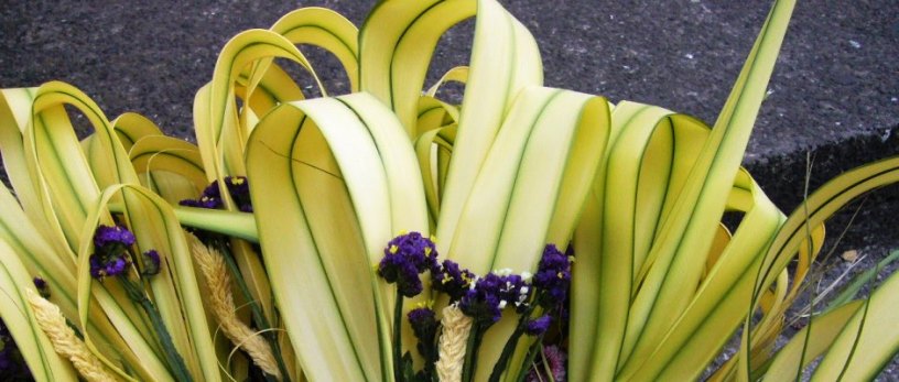 Manojos de hojas de palma para misa de Domingo de Ramos (Foto: revistalaverdad.com, tomada del banco de imágenes de Google).