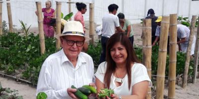Cosechando en el huerto urbano del Centro Geriátrico municipal de Manta. Manabí, Ecuador.