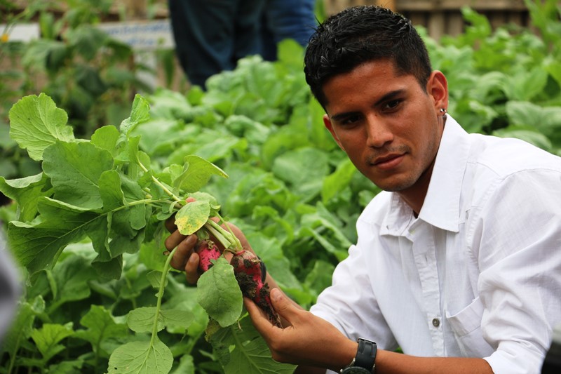 Estudiante de agronomía de la ULEAM muestra un rábano cosechado en uno de los huertos urbanos que cultiva la comunidad. Manabí, Ecuador.