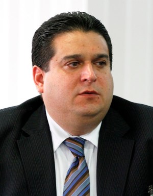 Juan Larrea, Miembro de Comité Expertos