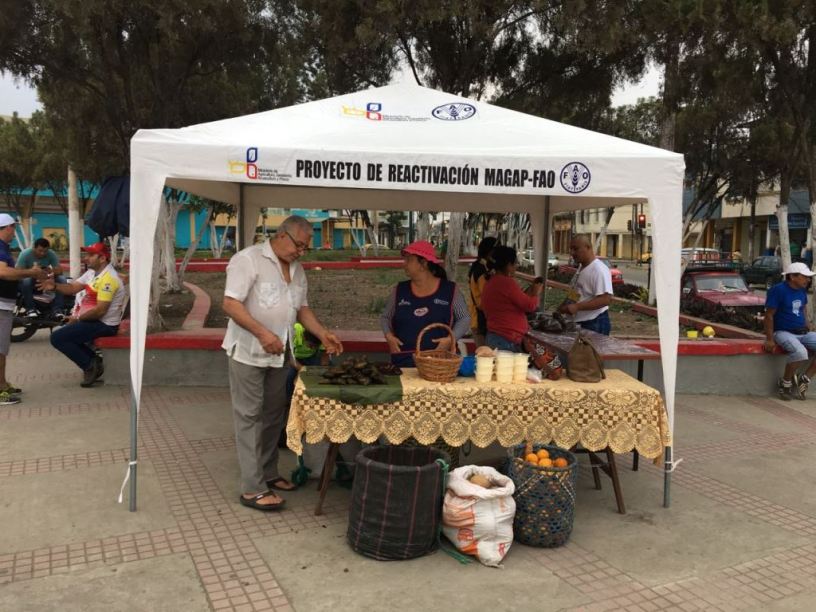 Muestra de productos agrícolas en la Plazoleta Elio Santos Macay de Chone. Manabí, Ecuador.