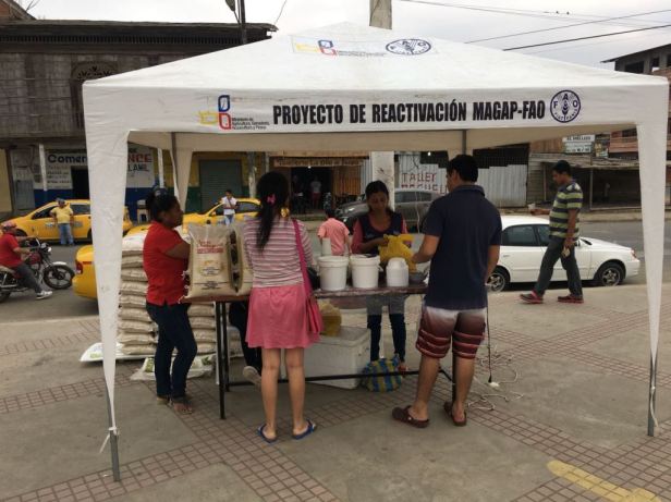 Muestra de productos agrícolas en una feria solidaria de Chone. Manabí, Ecuador.