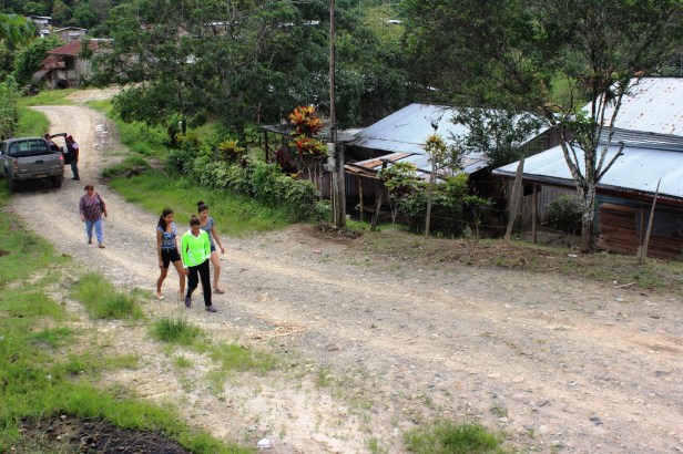 Esta vía rural está a nivel de terraplén, lo que permite el flujo de vehículos entre los sitios Los Ángeles y San Roque, en la Parroquia Santa Rita de Chone. Manabí, Ecuador.