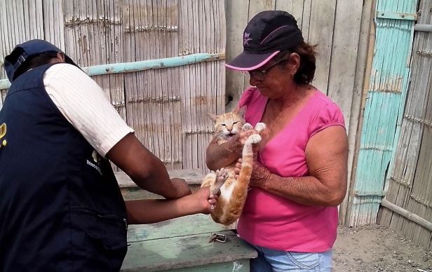 Un miembro del servicio público de salud vacuna a un gato en Manta. Manabí, Ecuador.