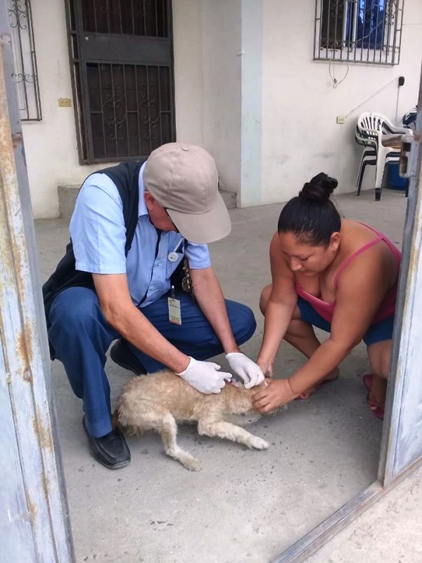 Un brigadista del Distrito de Salud de Jaramijó, Manta y Montecristi vacuna a un perro mascota. Manabí, Ecuador.