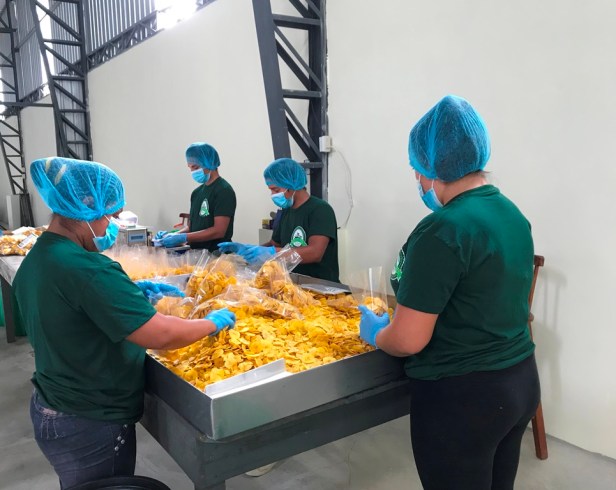 Proceso de envasado de chifles (rodajas) de plátano Del Campo, Paján. Manabí, Ecuador.