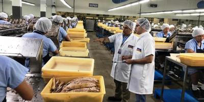 Sección Raspado de una industria atunera de la ciudad de Manta. Manabí, Ecuador.