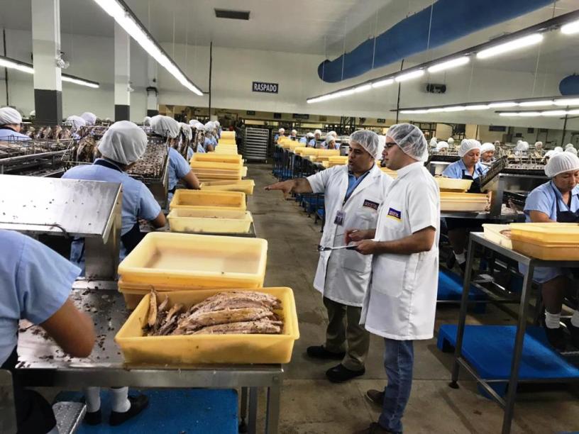 Sección Raspado de una industria atunera de la ciudad de Manta. Manabí, Ecuador.
