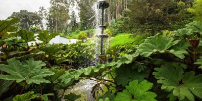 Manantial de agua en Machachi, Ecuador. / FOTO: Tesalia / Quito