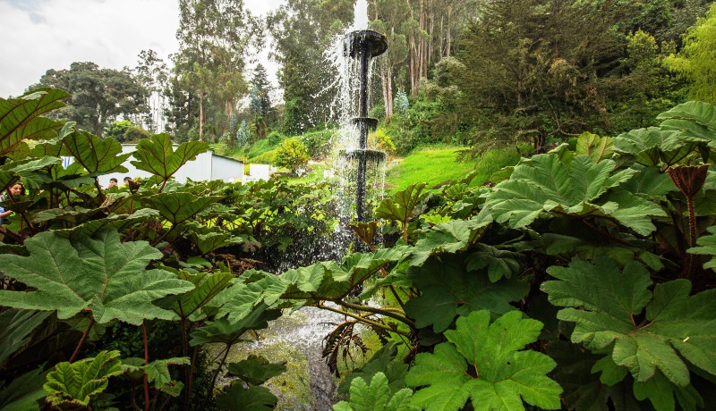Manantial de agua en Machachi, Ecuador. / FOTO: Tesalia / Quito