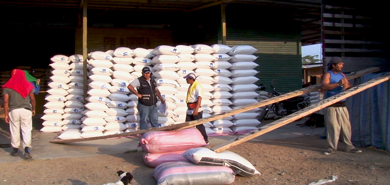 Arroz ensacado, almacenado en piladora ecuatoriana. / FUENTE: MAG (Tomada del sitio web oficial)