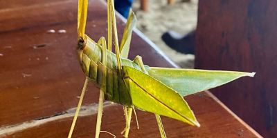 Saltamontes de hechura artesanal en la playa de Tarqui, ciudad de Manta (Ecuador). / FUENTE: J.S.R.