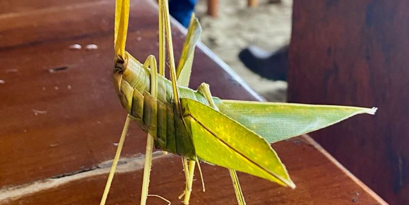 Saltamontes de hechura artesanal en la playa de Tarqui, ciudad de Manta (Ecuador). / FUENTE: J.S.R.