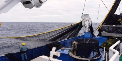 Navío en faena de pesca atunera. / FUENTE: Tunacons, Guayaquil