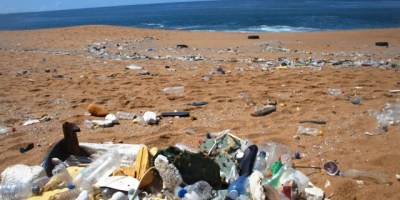 Basura extraída del océano. / Fuente: Galapagos Guardians, Ecuador