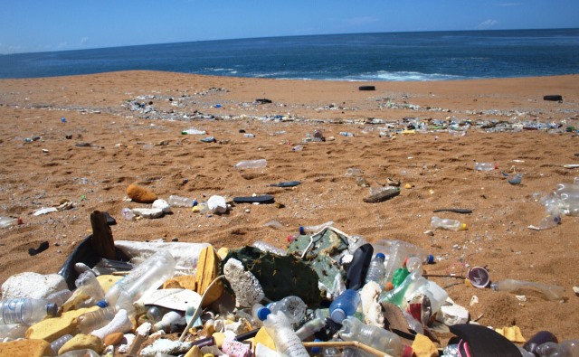 Basura extraída del océano. / Fuente: Galapagos Guardians, Ecuador