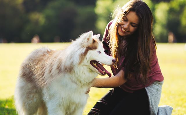Mujer acaricia su perro mascota. / FUENTE: OttoKare, Quito