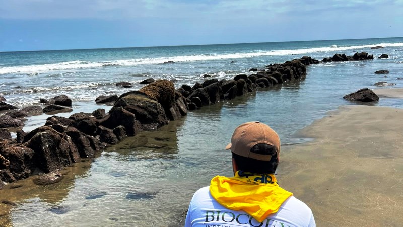Un custodio arqueológico observa vestigios de corrales marinos construidos hace más de 600 años en las costas del hoy Cantón Manta, Ecuador. / FUENTE: BIOCOEX-Pacoche.
